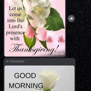 Meet your Posher, Yvonne